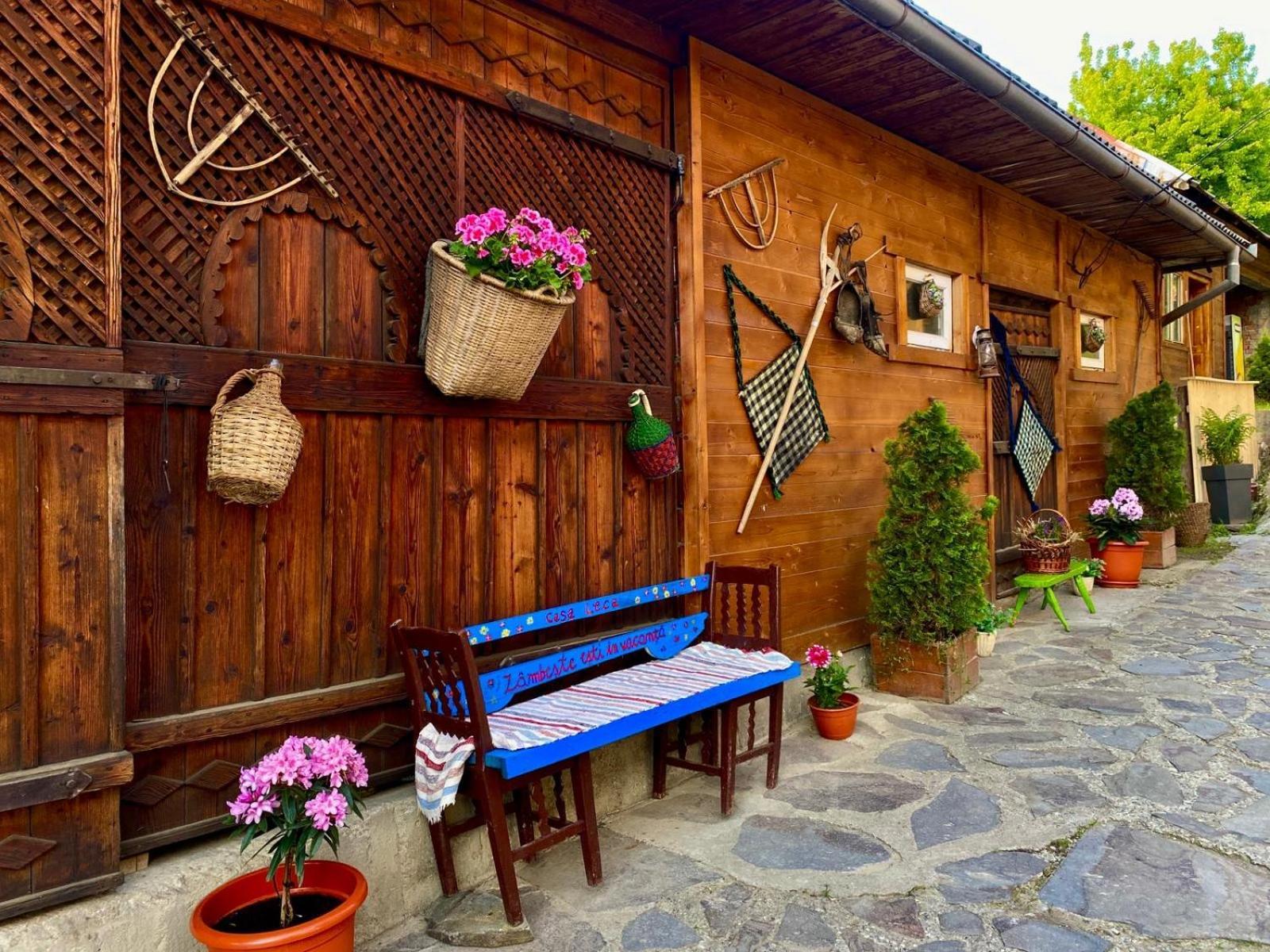Hotel Casa Leca Breb Zewnętrze zdjęcie